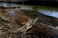 Stick bridge at the headwaters, Cressona/Schuylkill Haven, April 2013