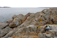 Coastal Forts of Narragansett Bay